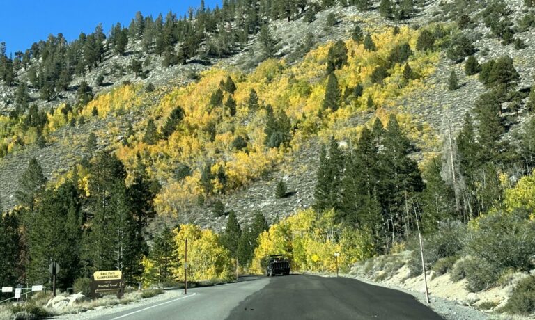 On The Road - UncleEbeneezer - Stay Gold, Eastern Sierra (Part 4/4)- Rock Creek 8