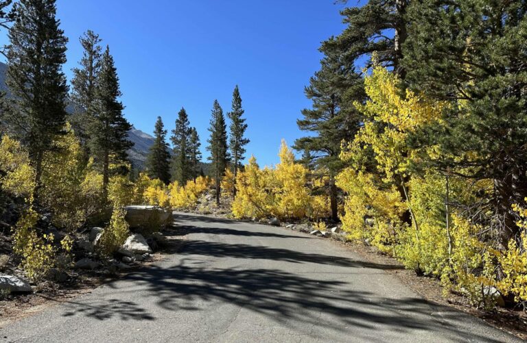On The Road - UncleEbeneezer - Stay Gold, Eastern Sierra (Part 4/4)- Rock Creek 3