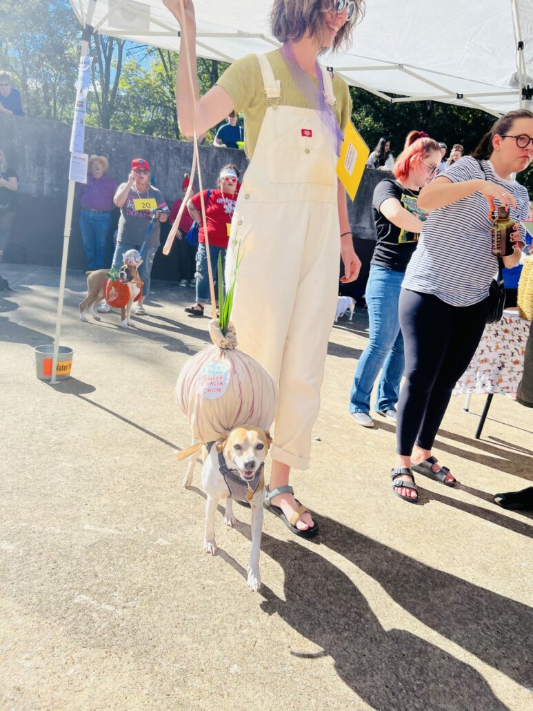 Boo-le-Bark on the Boulevard and Athenspets Last Sunday 4