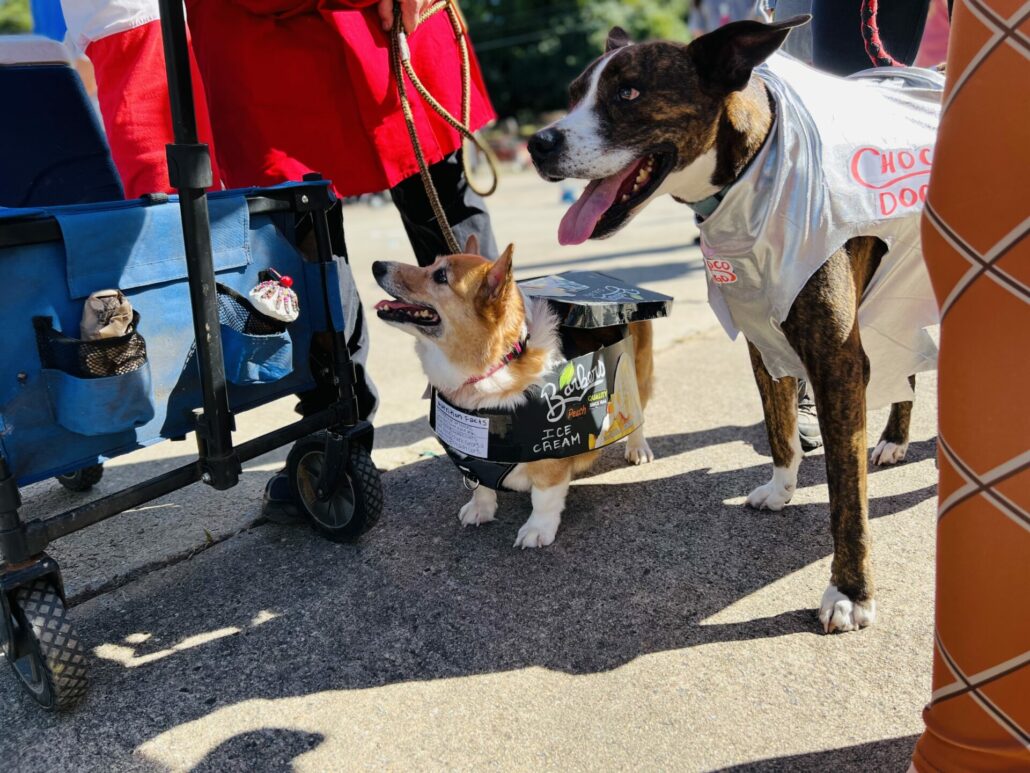 Boo-le-Bark on the Boulevard and Athenspets Last Sunday 8