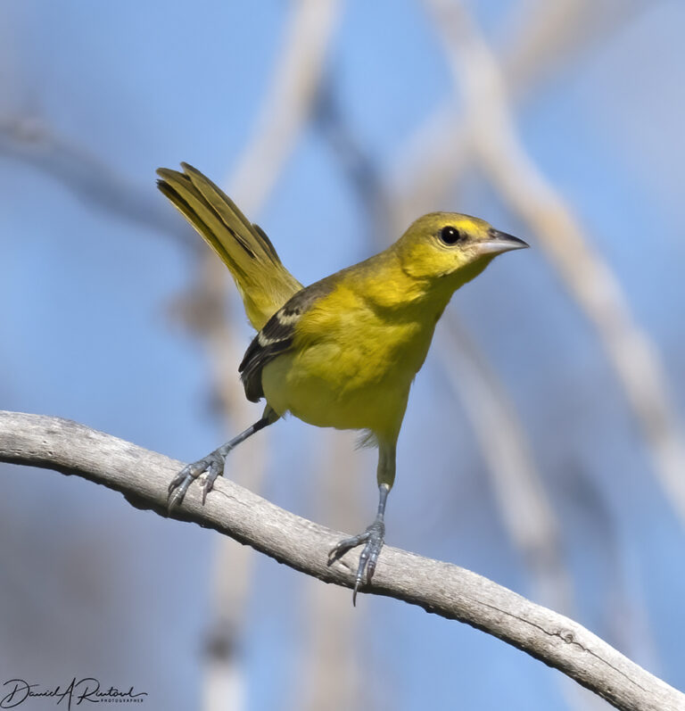 On The Road - Albatrossity - Chasing Summer into Fall in Flyover Country – 2 6