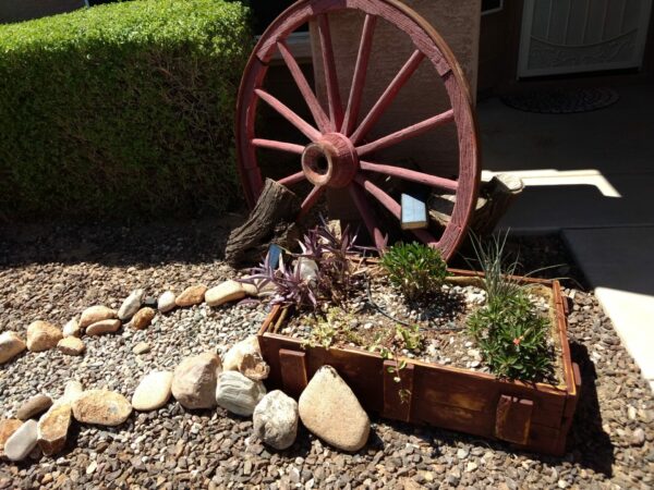 Sunday Morning Garden Chat: A Front Yard in AZ
