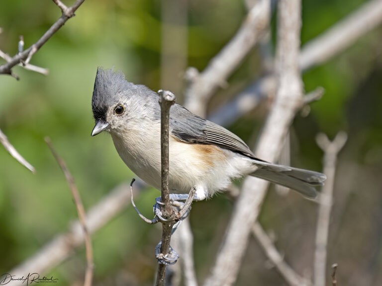 On The Road - Albatrossity - Chasing Summer into Fall in Flyover Country – 2 4