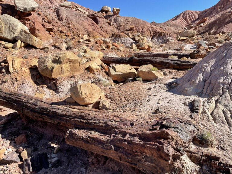 On The Road - TKH - Grand Staircase Escalante National Monument in Southern Utah 4