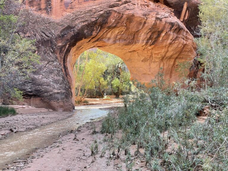 On The Road - TKH - Grand Staircase Escalante National Monument in Southern Utah 7