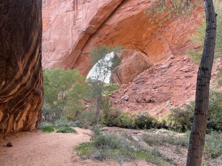 On The Road - TKH - Grand Staircase Escalante National Monument in Southern Utah 6