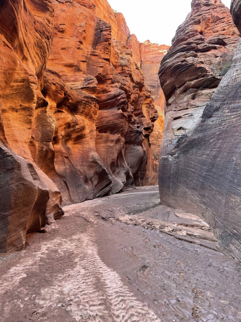 On The Road - TKH - Grand Staircase Escalante National Monument in Southern Utah 1