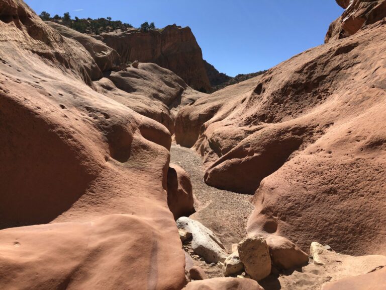 On The Road - TKH - Capitol Reef to Stevens Canyon-Part 1: Capitol Reef 6