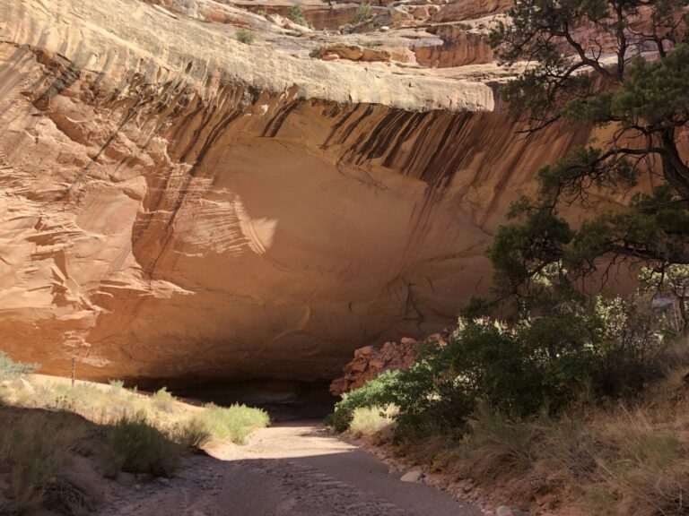 On The Road - TKH - Capitol Reef to Stevens Canyon-Part 1: Capitol Reef 4