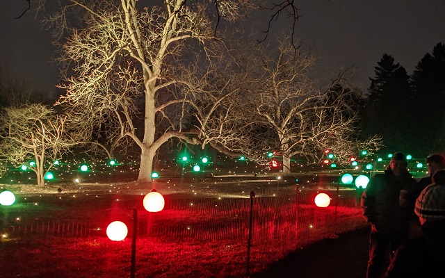 On The Road - Ken - The Morton Arboretum 6