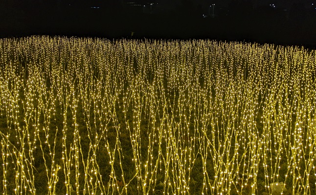 On The Road - Ken - The Morton Arboretum