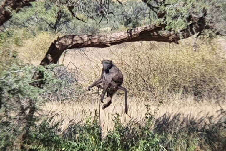 On The Road - lashonharangue - Namibia - Part 1 8