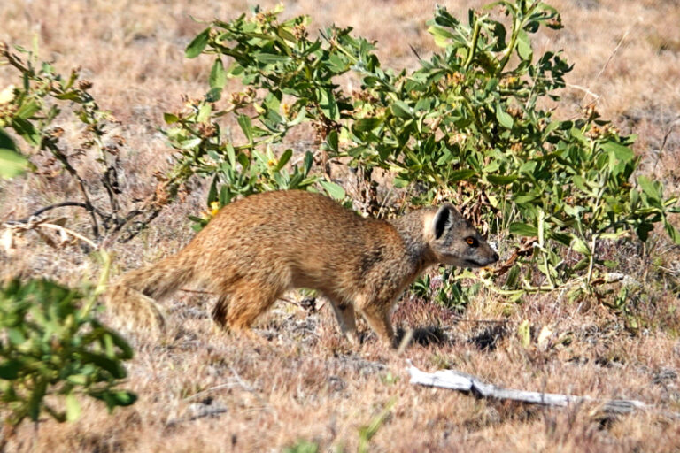 On The Road - lashonharangue - Namibia - Part 7 7