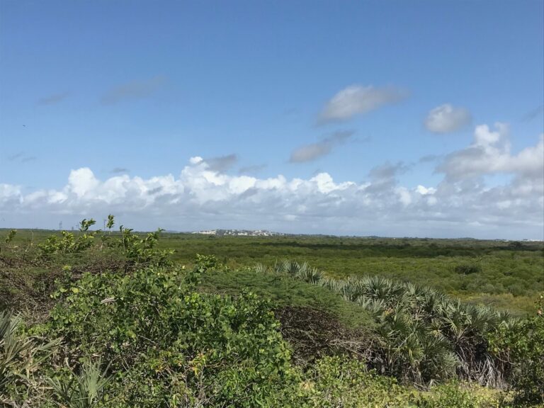 On The Road – way2blue – Lamu, Kenya in 2021, 7 of 8 8