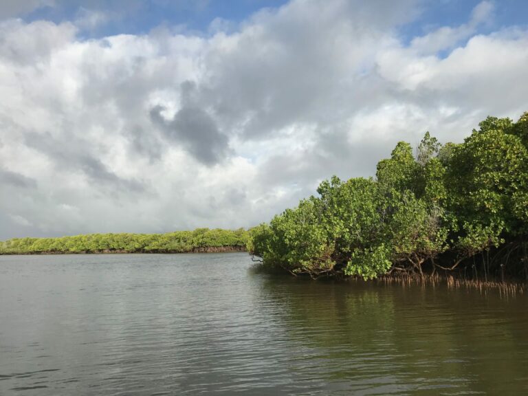 On The Road – way2blue – Lamu, Kenya in 2021, 3 of 8 8