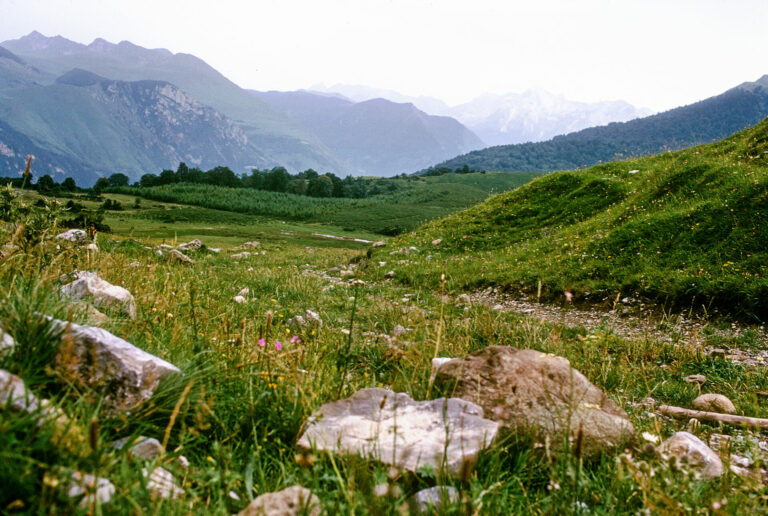 On The Road - Steve from Mendocino - French Basque Country #3