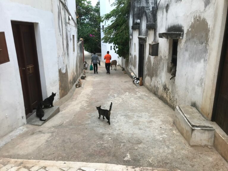 On The Road – way2blue – Lamu, Kenya in 2021, 2 of 8