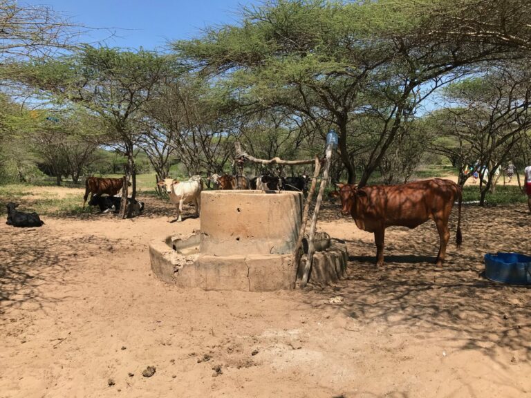 On The Road – way2blue – Lamu, Kenya in 2021, 8 of 8