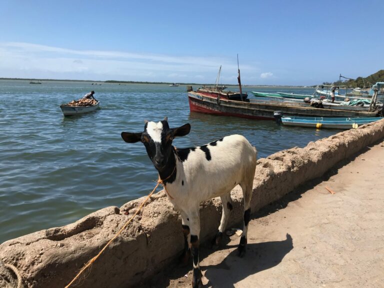 On The Road – way2blue – Lamu, Kenya in 2021, 6 of 8