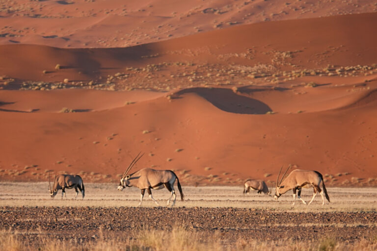 On The Road - lashonharangue - Namibia - Part 2 7