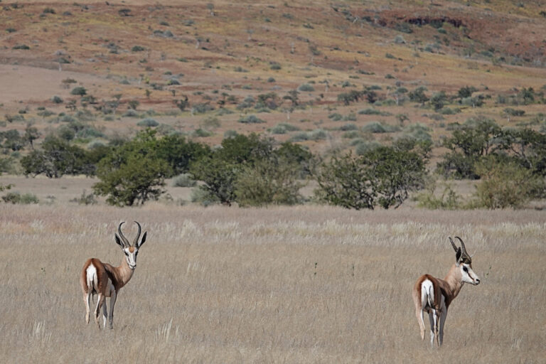 On The Road - lashonharangue - Namibia - Part 4 5