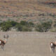 On The Road - lashonharangue - Namibia - Part 4 5