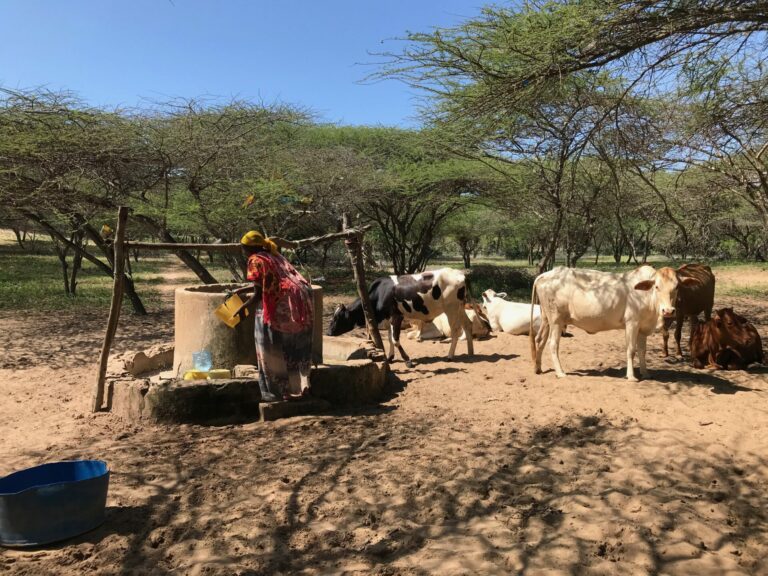 On The Road – way2blue – Lamu, Kenya in 2021, 7 of 8 6