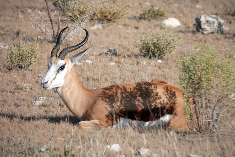 On The Road - lashonharangue - Namibia - Part 6 5