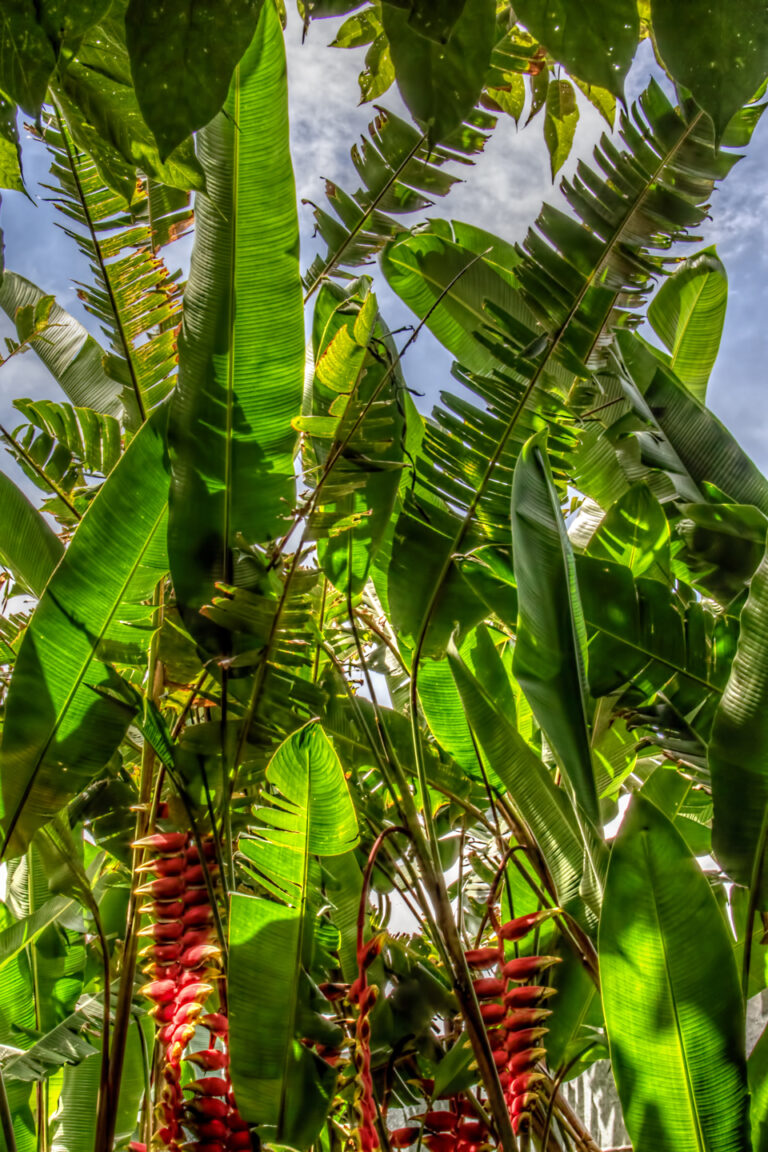 On The Road - arrieve - San José, Costa Rica 2