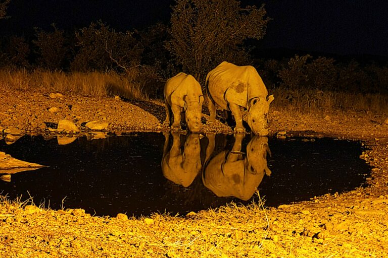 On The Road - lashonharangue - Namibia - Part 5 2