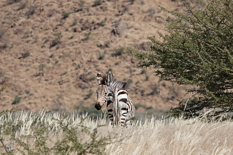 On The Road - lashonharangue - Namibia - Part 1 3