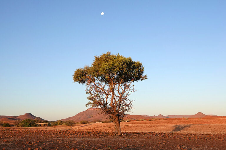 On The Road - lashonharangue - Namibia - Part 4 4