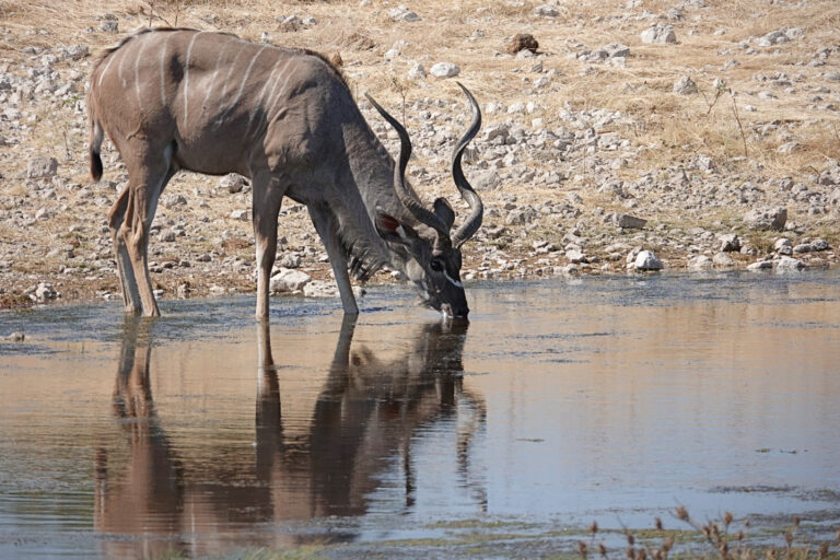 On The Road - lashonharangue - Namibia - Part 7 3