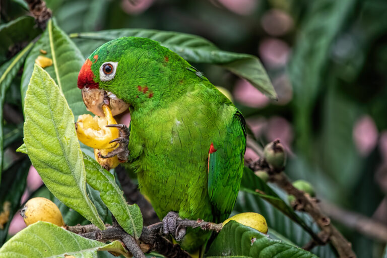 On The Road - arrieve - San José, Costa Rica 3