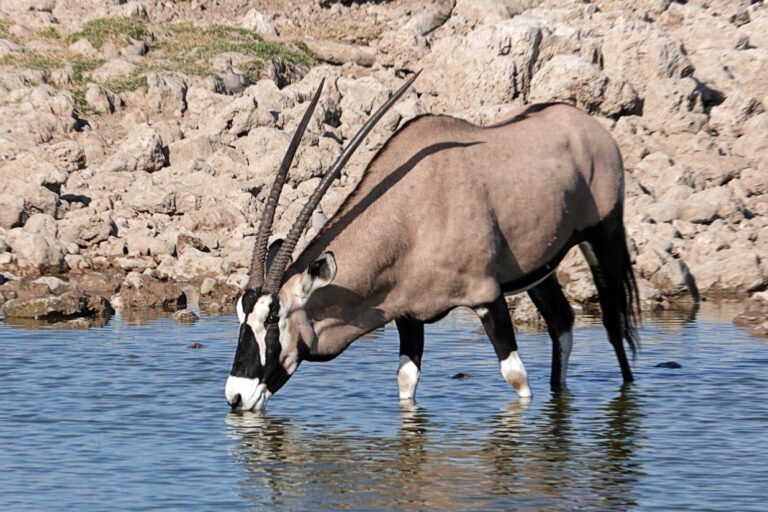 On The Road - lashonharangue - Namibia - Part 6 4