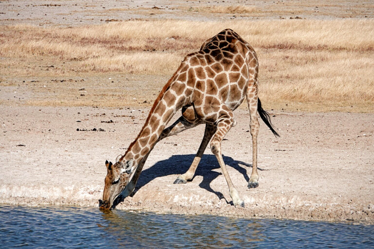 On The Road - lashonharangue - Namibia - Part 7 2