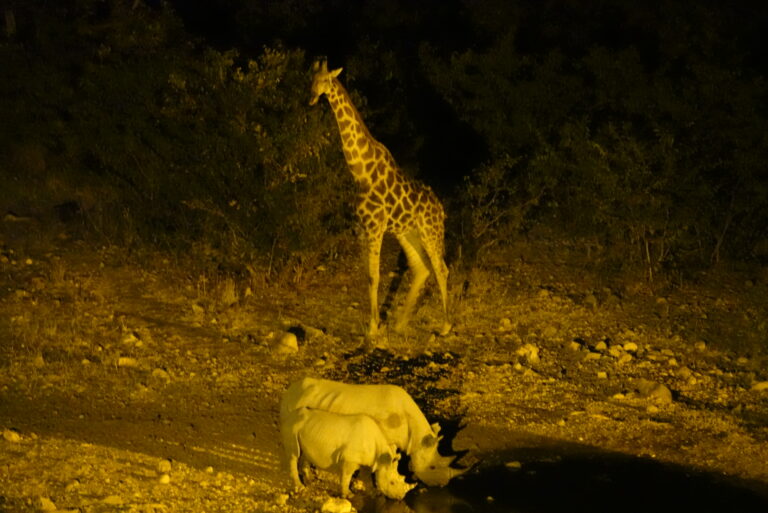 On The Road - lashonharangue - Namibia - Part 5 1