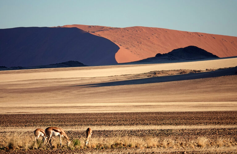 On The Road - lashonharangue - Namibia - Part 1 2