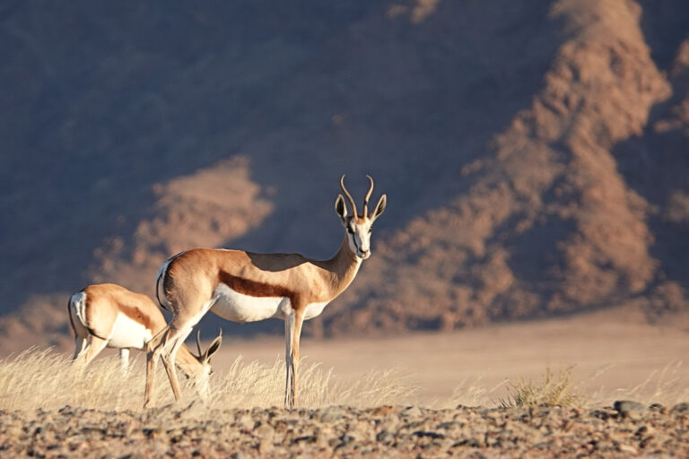 On The Road - lashonharangue - Namibia - Part 1 1