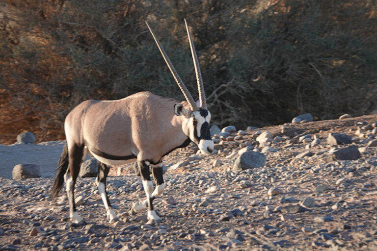 On The Road - lashonharangue - Namibia - Part 1