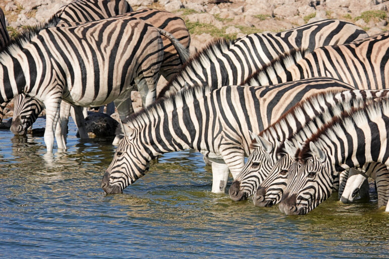 On The Road - lashonharangue - Namibia - Part 6