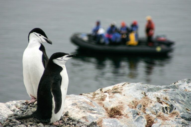 On The Road - Dagaetch - Antarctica! 4