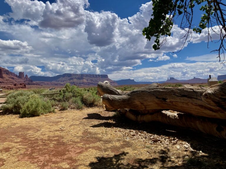 On The Road - cope - Grand Junction and Beyond, Part III