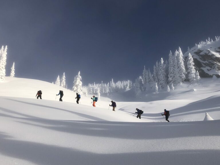 On The Road - StringOnAStick - Backcountry skiing, Monashee Mts, B.C. 7