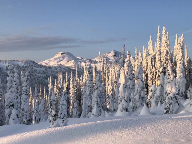 On The Road - StringOnAStick - Backcountry skiing, Monashee Mts, B.C. 4