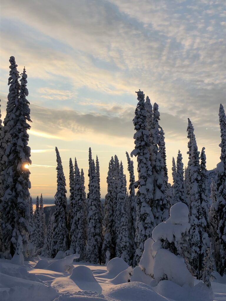 On The Road - StringOnAStick - Backcountry skiing, Monashee Mts, B.C. 3