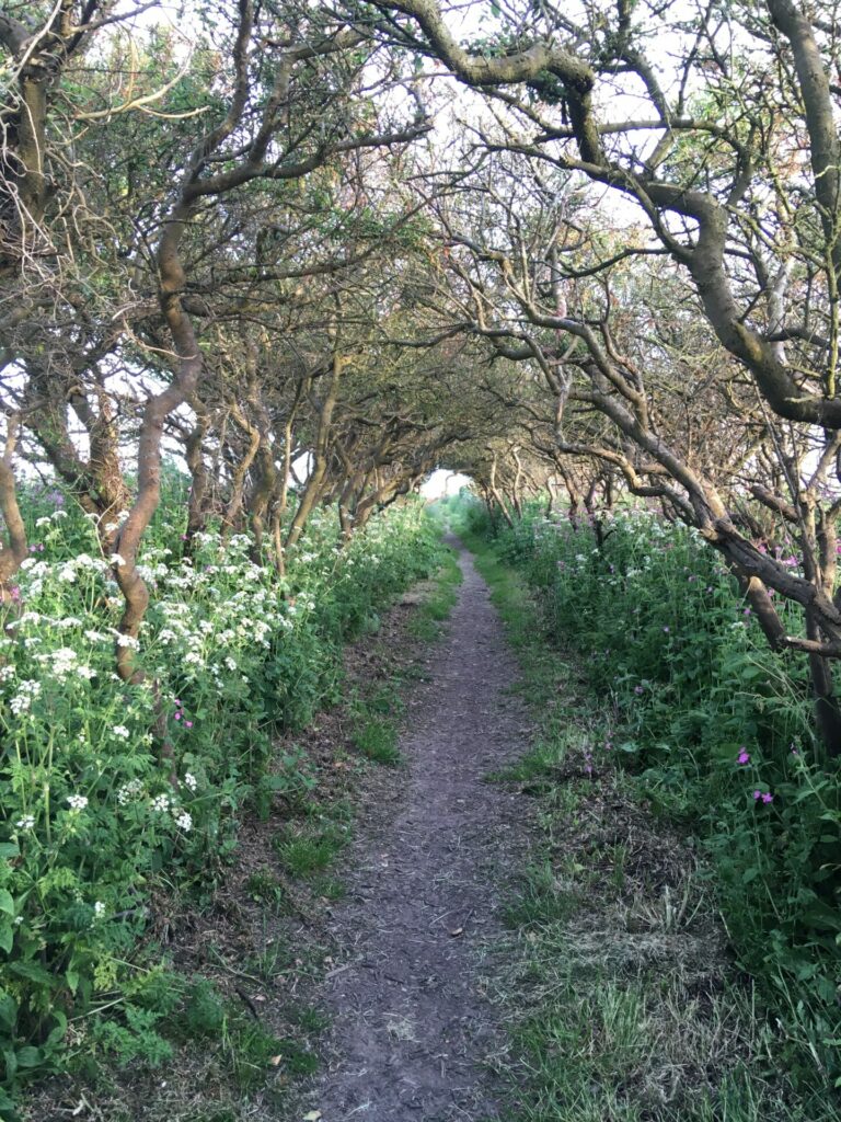 On The Road - knally - St Davids, Wales 1