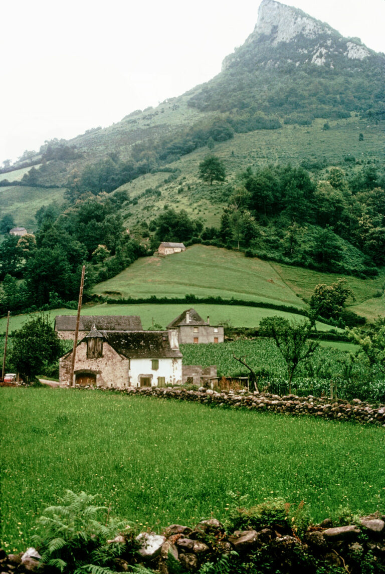 On The Road - Steve from Mendocino - French Basque Country #7 2