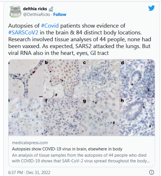 COVID-19 Coronavirus Updates: Monday / Tuesday, Jan. 2-3 15