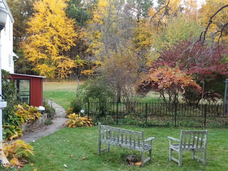 Sunday Morning Garden Chat: October Garden